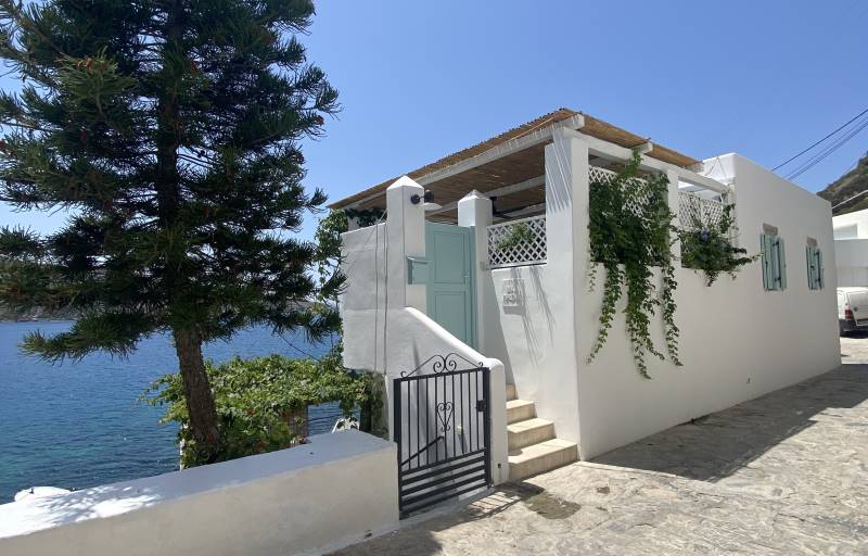 Study, static reinforcement and renovation of an old one-story house in Xylokeratidi, Katapola Amorgos