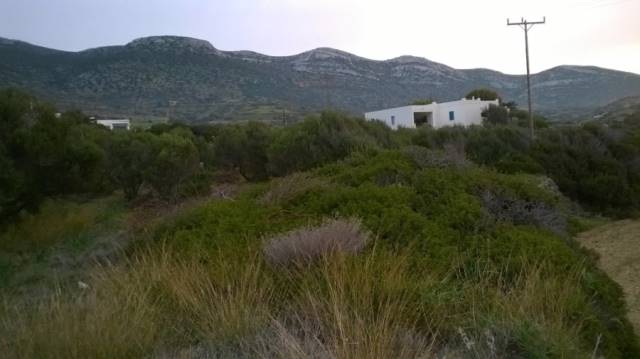 (For Sale) Land Agricultural Land  || Cyclades/Amorgos - 773 Sq.m, 8.000€ 