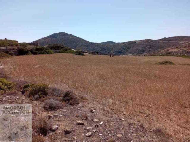 (For Sale) Land Agricultural Land  || Cyclades/Amorgos - 5.203 Sq.m, 42.000€ 