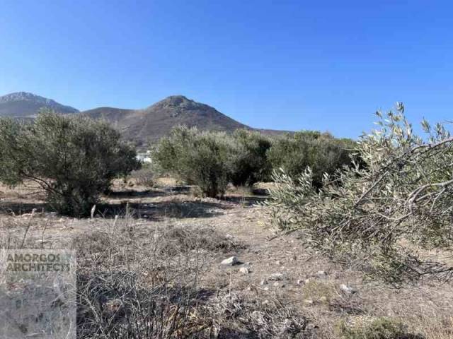 (For Sale) Land Agricultural Land  || Cyclades/Amorgos - 817 Sq.m, 10.000€ 