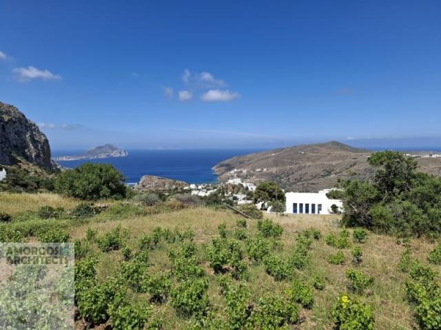 (For Sale) Land Plot || Cyclades/Amorgos - 1.332 Sq.m, 250.000€ 