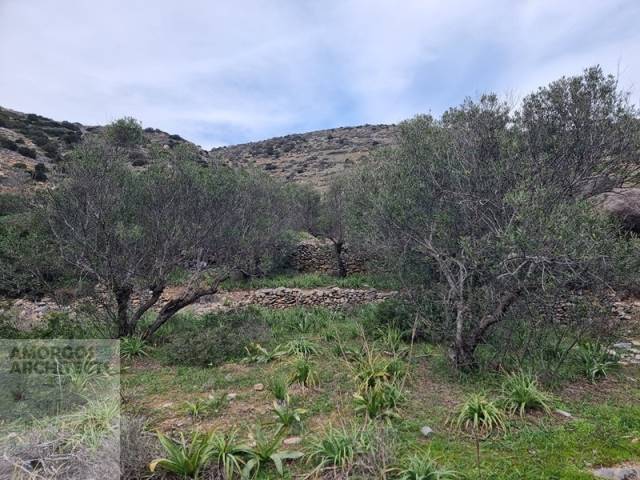 (For Sale) Land || Cyclades/Amorgos - 896 Sq.m, 10.000€ 