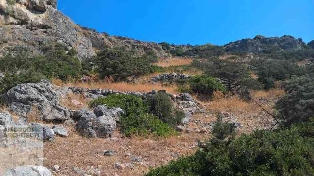 (For Sale) Land Agricultural Land  || Cyclades/Sxoinousa-Mikres Cyclades - 1.295 Sq.m, 30.000€ 