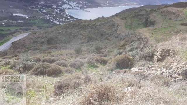 (For Sale) Land Agricultural Land  || Cyclades/Amorgos - 4.000 Sq.m, 110.000€ 