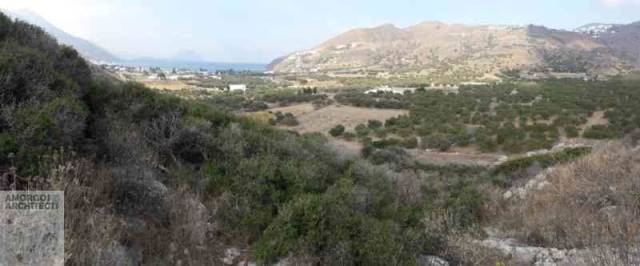 (For Sale) Land Agricultural Land  || Cyclades/Amorgos - 4.000 Sq.m, 160.000€ 