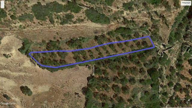(For Sale) Land Agricultural Land  || Cyclades/Amorgos - 843 Sq.m, 10.000€ 