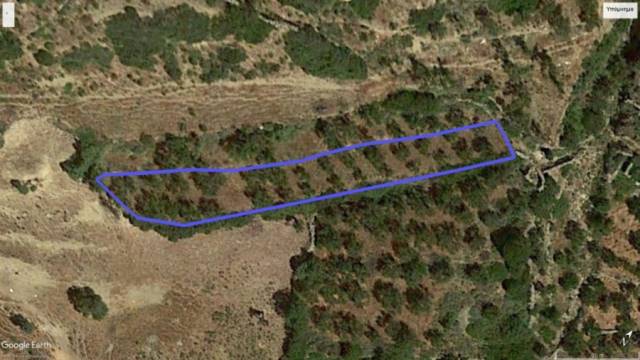 (For Sale) Land Agricultural Land  || Cyclades/Amorgos - 843 Sq.m, 10.000€ 