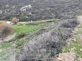 slide1 thumbnail